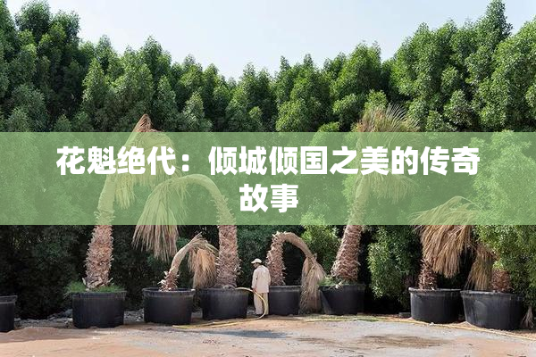 花魁绝代：倾城倾国之美的传奇故事