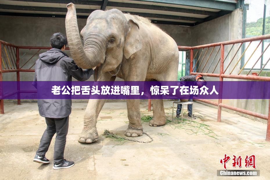 老公把舌头放进嘴里，惊呆了在场众人
