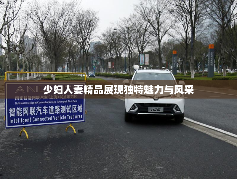 少妇人妻精品展现独特魅力与风采