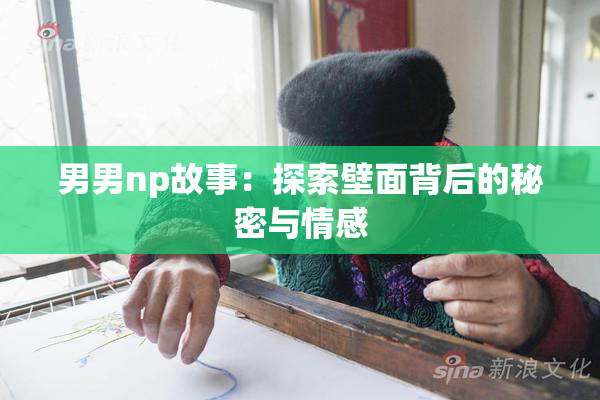 男男np故事：探索壁面背后的秘密与情感