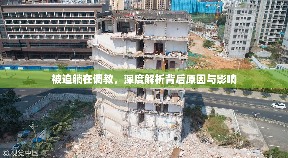 被迫躺在调教，深度解析背后原因与影响