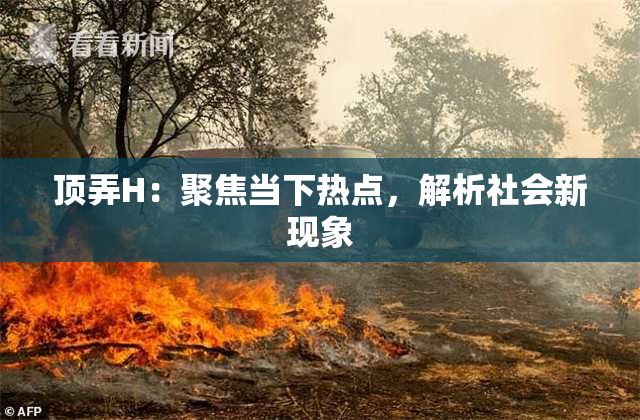 顶弄H：聚焦当下热点，解析社会新现象