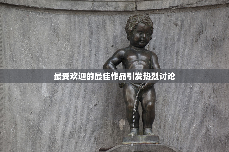 最受欢迎的最佳作品引发热烈讨论