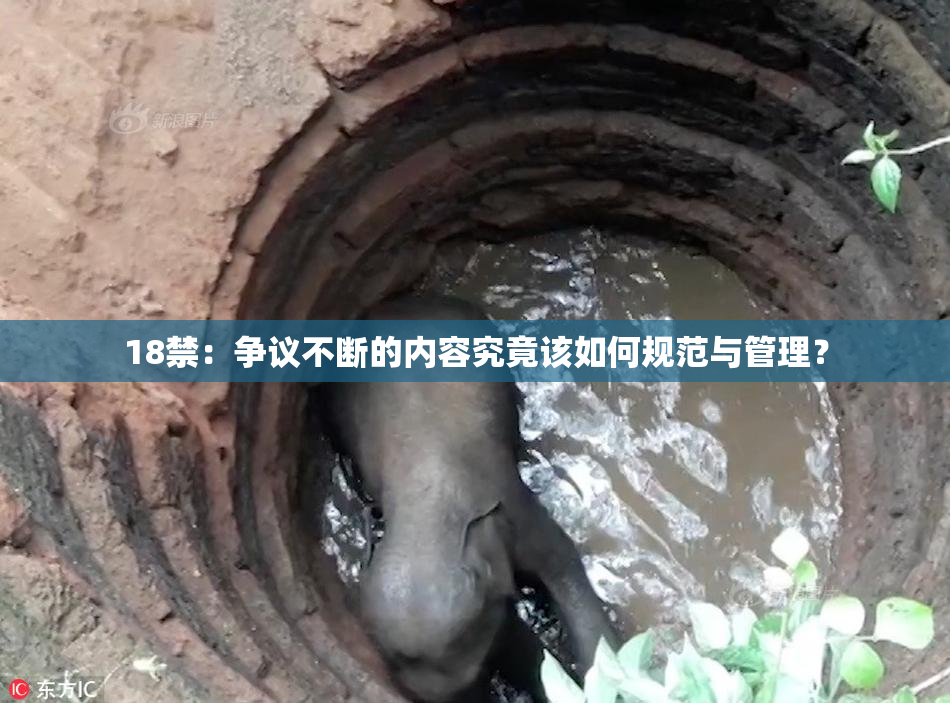 18禁：争议不断的内容究竟该如何规范与管理？