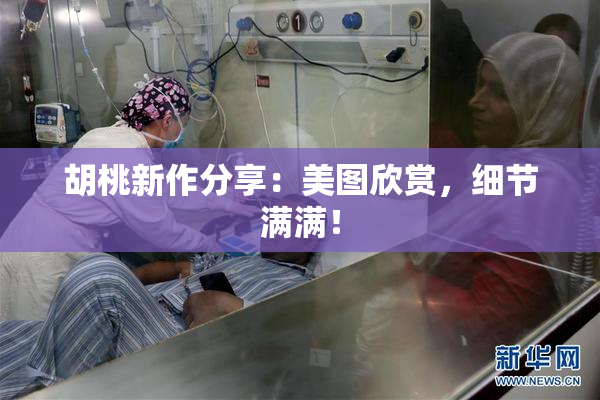 胡桃新作分享：美图欣赏，细节满满！