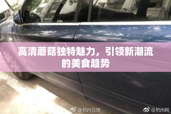 高清蘑菇独特魅力，引领新潮流的美食趋势