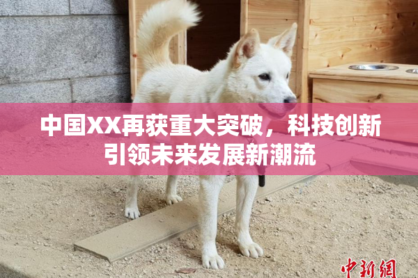 中国XX再获重大突破，科技创新引领未来发展新潮流