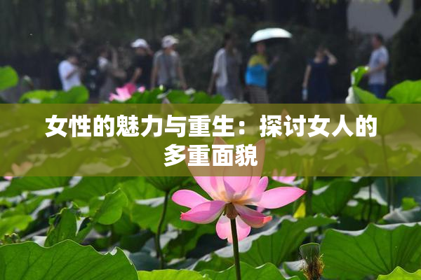 女性的魅力与重生：探讨女人的多重面貌