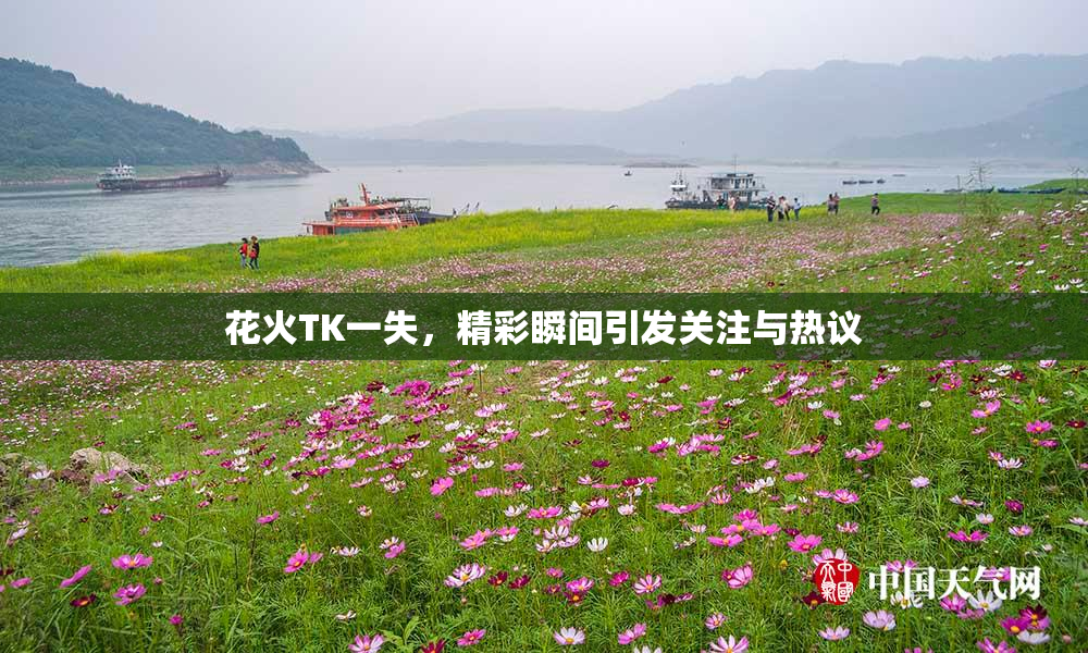 花火TK一失，精彩瞬间引发关注与热议