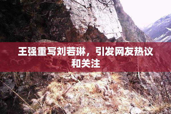 王强重写刘若琳，引发网友热议和关注