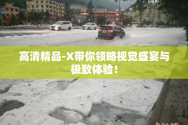 高清精品-X带你领略视觉盛宴与极致体验！