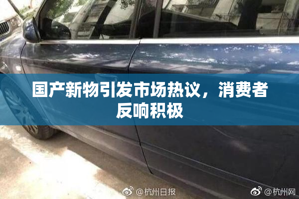 国产新物引发市场热议，消费者反响积极