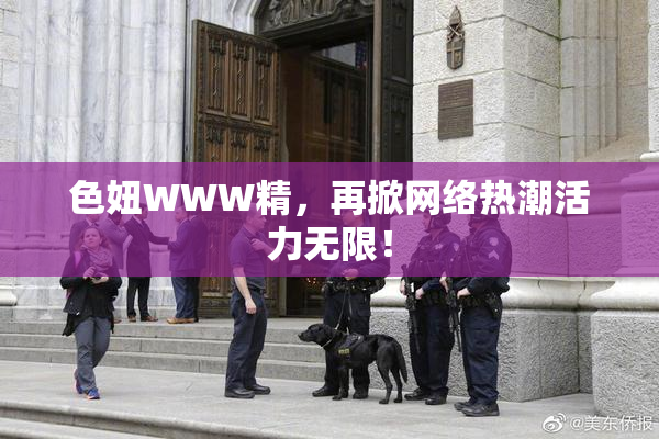 色妞WWW精，再掀网络热潮活力无限！