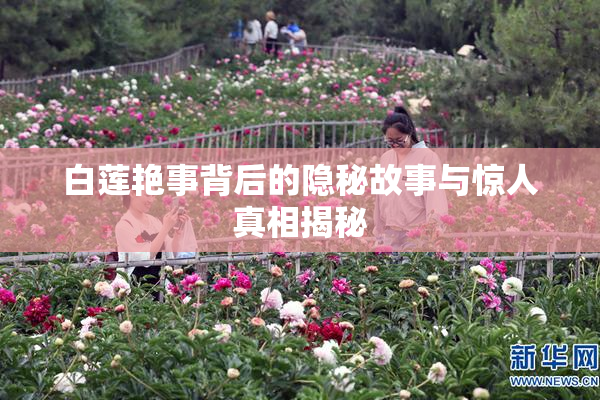 白莲艳事背后的隐秘故事与惊人真相揭秘