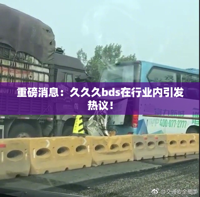 重磅消息：久久久bds在行业内引发热议！