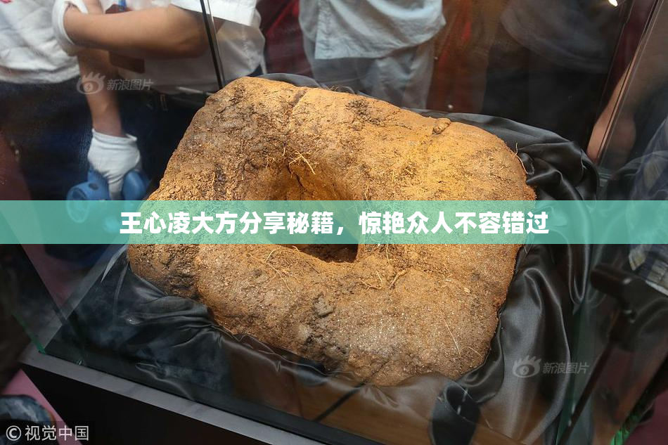 王心凌大方分享秘籍，惊艳众人不容错过