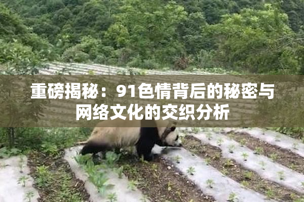 重磅揭秘：91色情背后的秘密与网络文化的交织分析