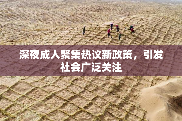 深夜成人聚集热议新政策，引发社会广泛关注