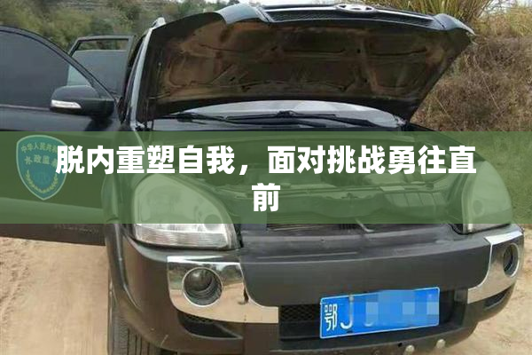 脱内重塑自我，面对挑战勇往直前