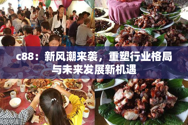 c88：新风潮来袭，重塑行业格局与未来发展新机遇