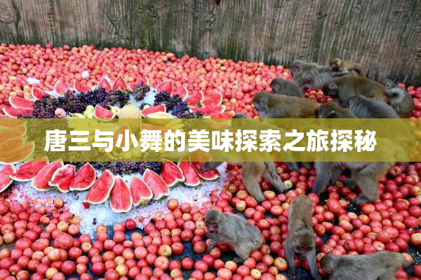 唐三与小舞的美味探索之旅探秘