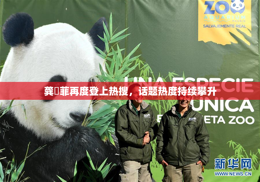 龚玥菲再度登上热搜，话题热度持续攀升
