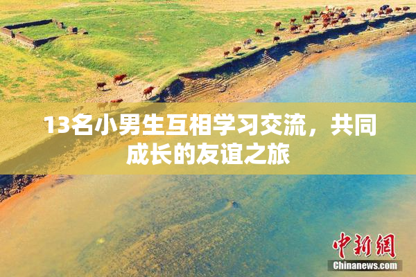 13名小男生互相学习交流，共同成长的友谊之旅