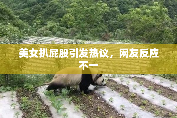 美女扒屁股引发热议，网友反应不一