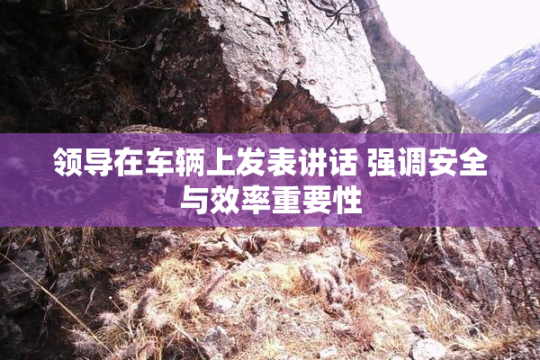 领导在车辆上发表讲话 强调安全与效率重要性
