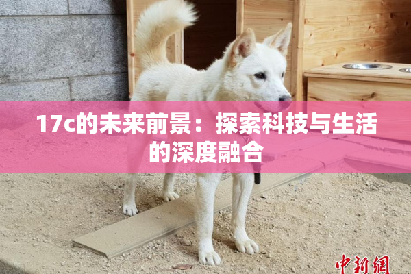 17c的未来前景：探索科技与生活的深度融合