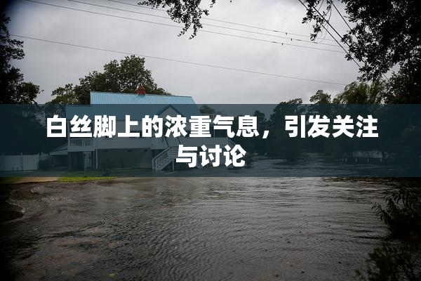 白丝脚上的浓重气息，引发关注与讨论