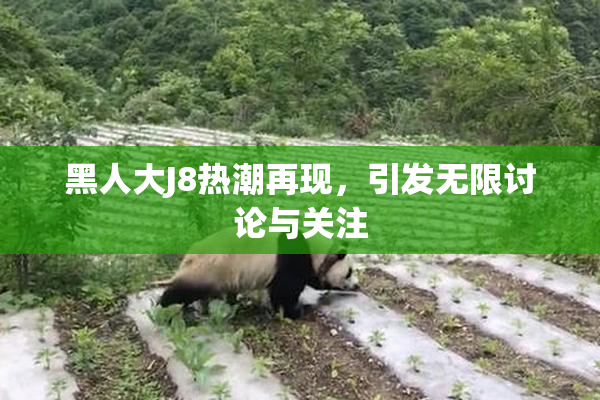 黑人大J8热潮再现，引发无限讨论与关注