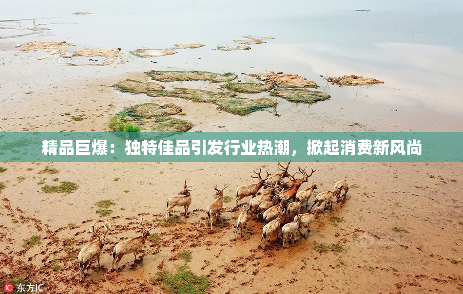 精品巨爆：独特佳品引发行业热潮，掀起消费新风尚