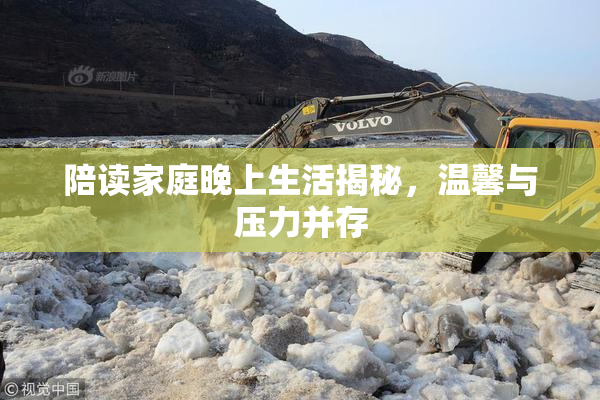 陪读家庭晚上生活揭秘，温馨与压力并存