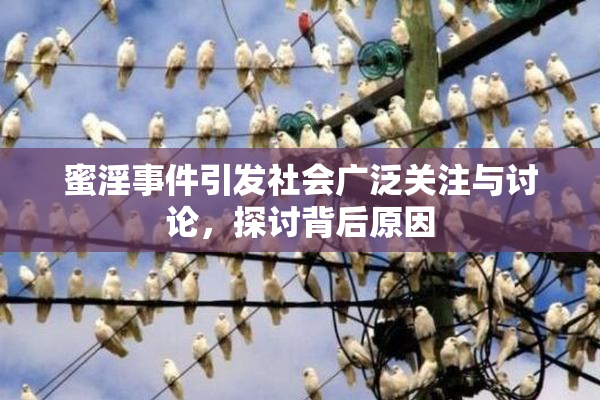 蜜淫事件引发社会广泛关注与讨论，探讨背后原因