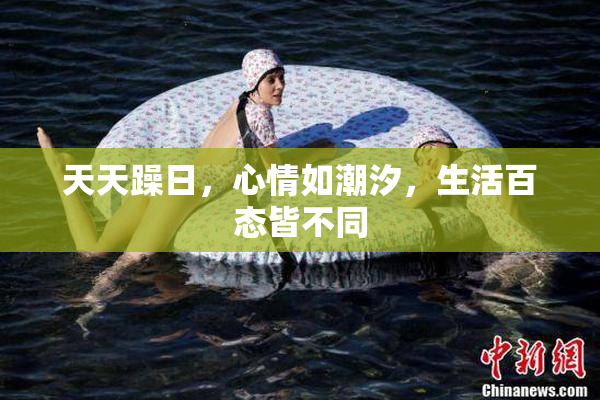 天天躁日，心情如潮汐，生活百态皆不同
