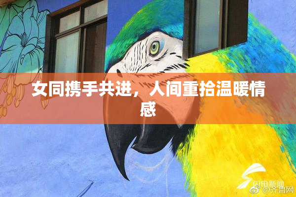 女同携手共进，人间重拾温暖情感