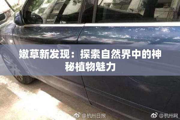 嫩草新发现：探索自然界中的神秘植物魅力