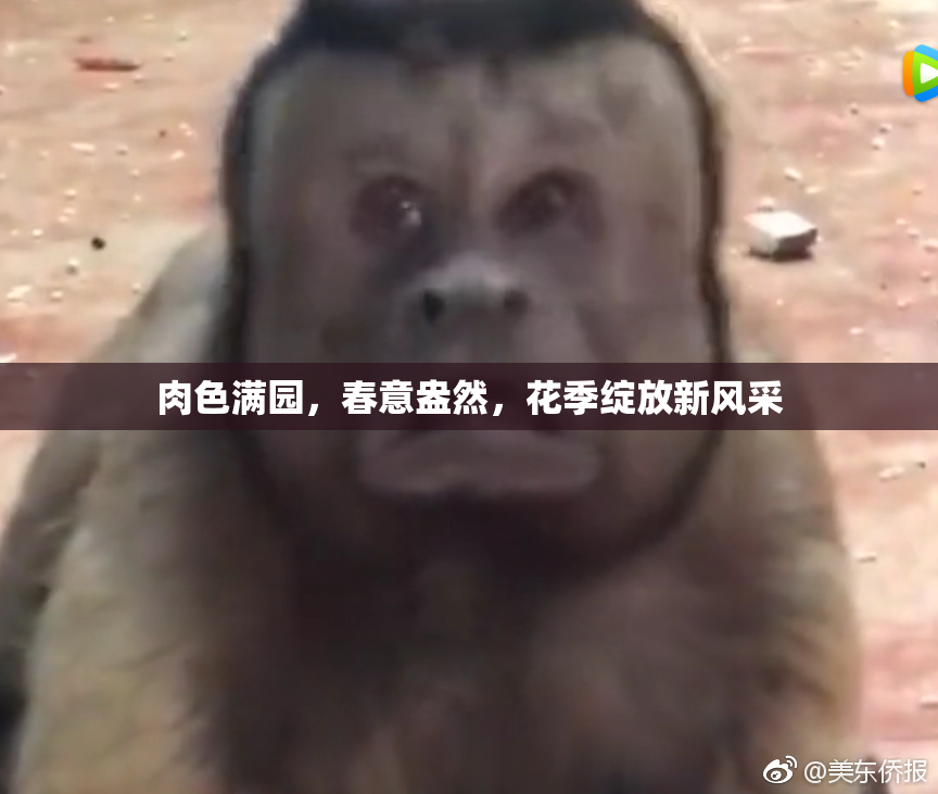 肉色满园，春意盎然，花季绽放新风采
