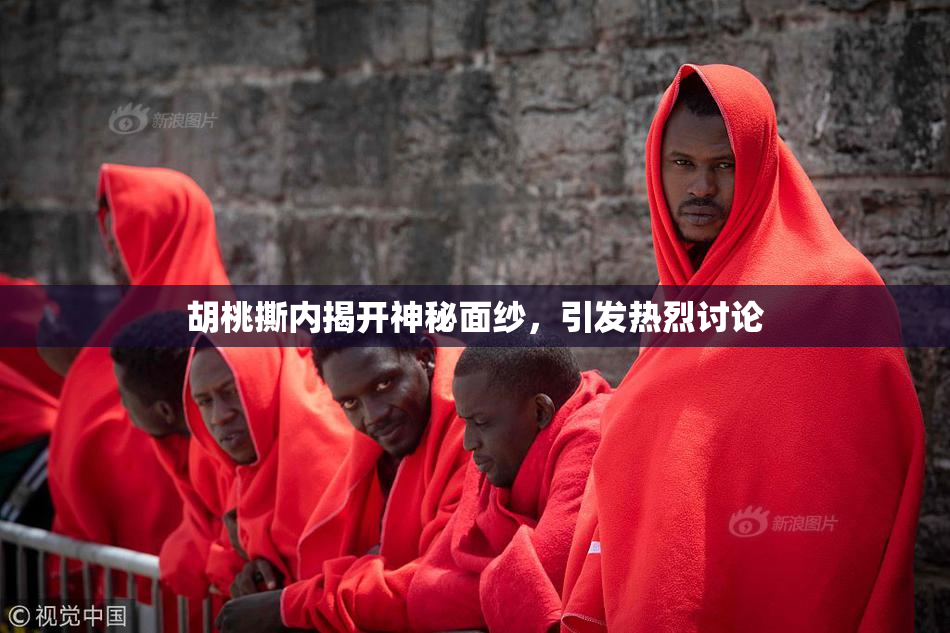 胡桃撕内揭开神秘面纱，引发热烈讨论