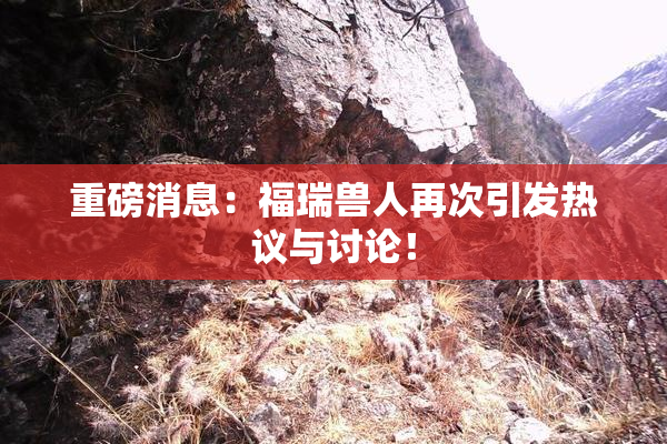 重磅消息：福瑞兽人再次引发热议与讨论！