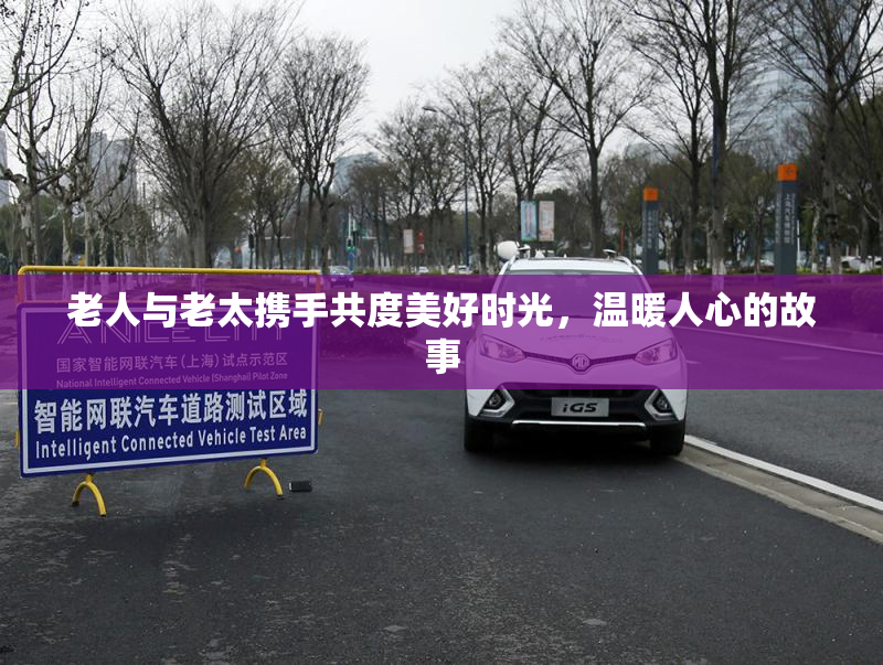 老人与老太携手共度美好时光，温暖人心的故事
