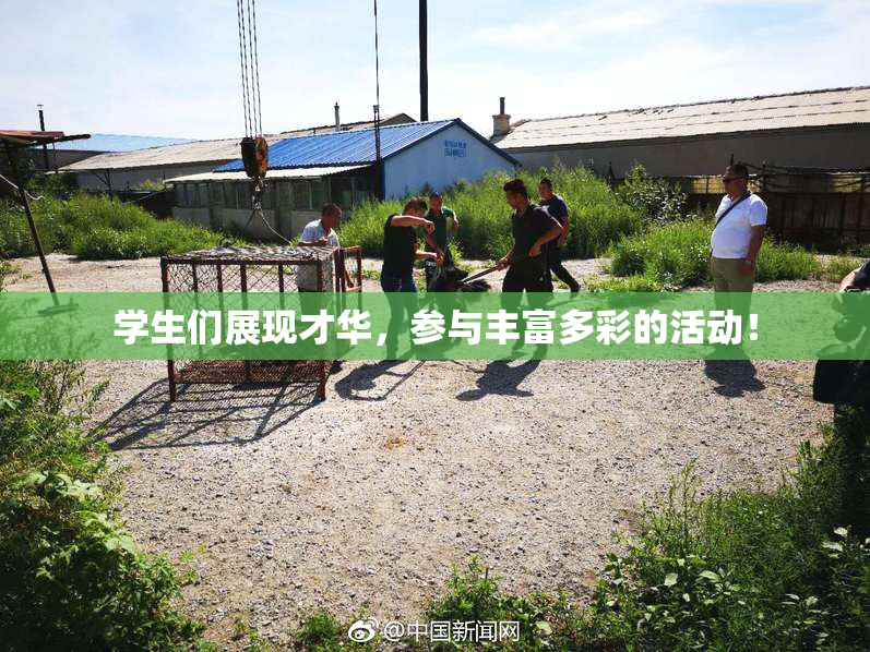 学生们展现才华，参与丰富多彩的活动！
