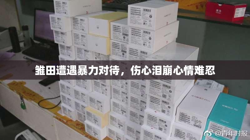 雏田遭遇暴力对待，伤心泪崩心情难忍