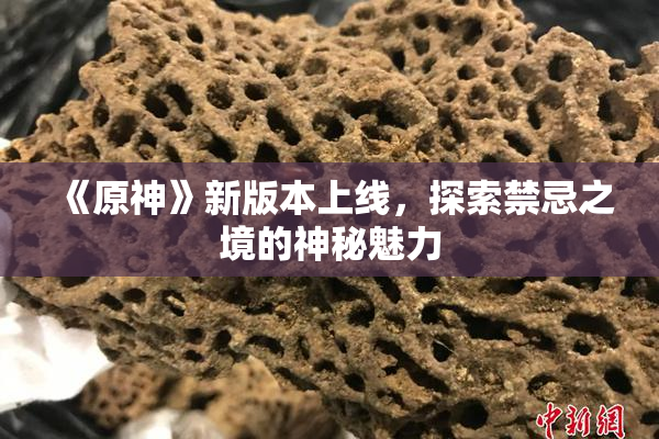 《原神》新版本上线，探索禁忌之境的神秘魅力