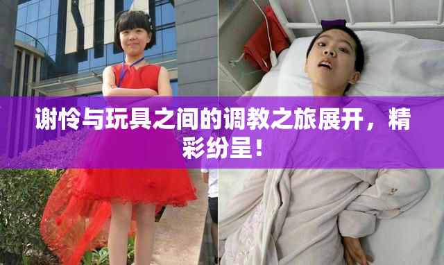 谢怜与玩具之间的调教之旅展开，精彩纷呈！