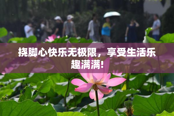 挠脚心快乐无极限，享受生活乐趣满满!
