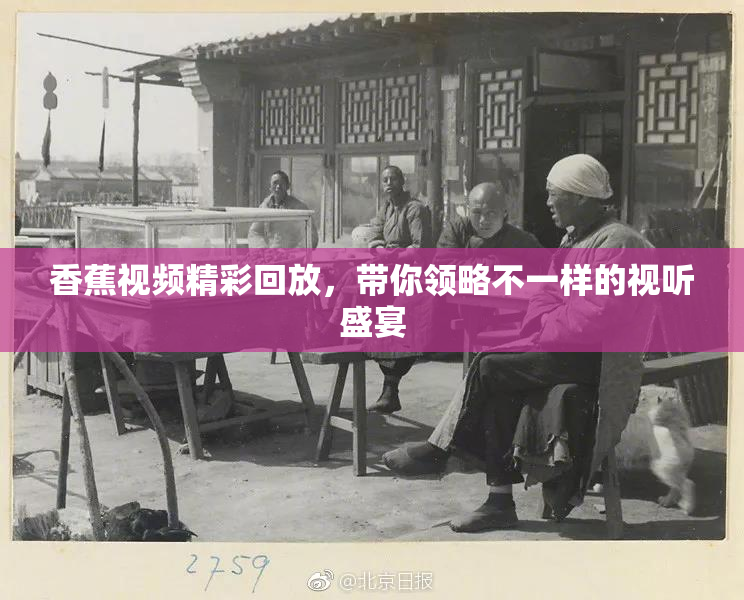 香蕉视频精彩回放，带你领略不一样的视听盛宴