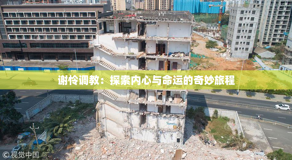 谢怜调教：探索内心与命运的奇妙旅程
