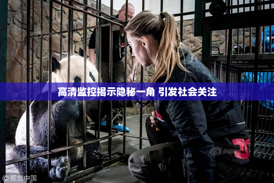 高清监控揭示隐秘一角 引发社会关注
